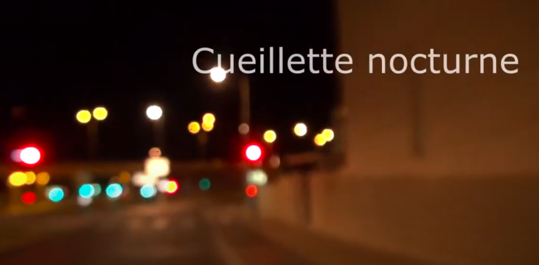 image Cueillette_Nocturne.png (0.5MB)
Lien vers: https://www.youtube.com/watch?v=f5jFUPECweg